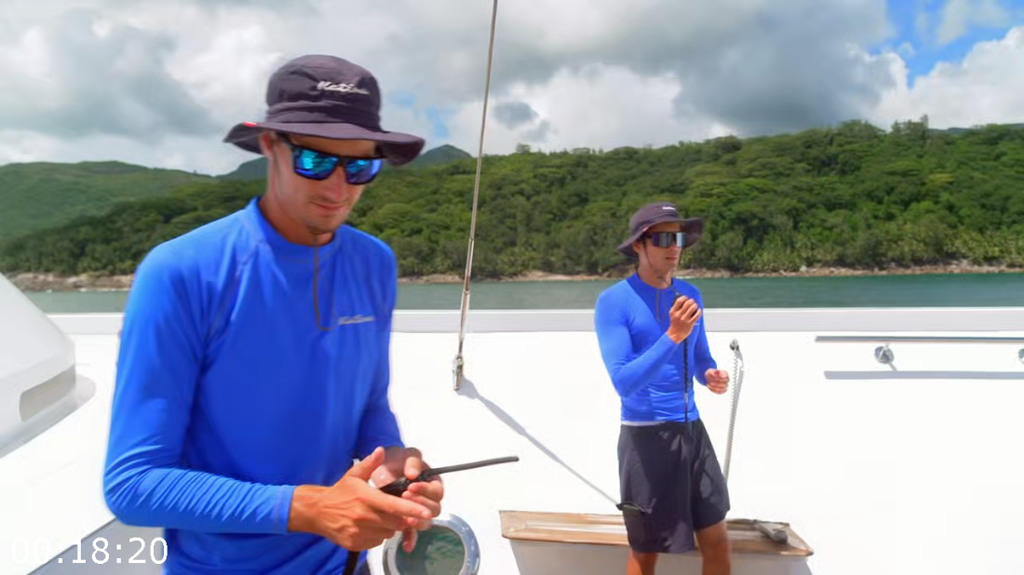 [Image: i9qn36or5dwi.png]