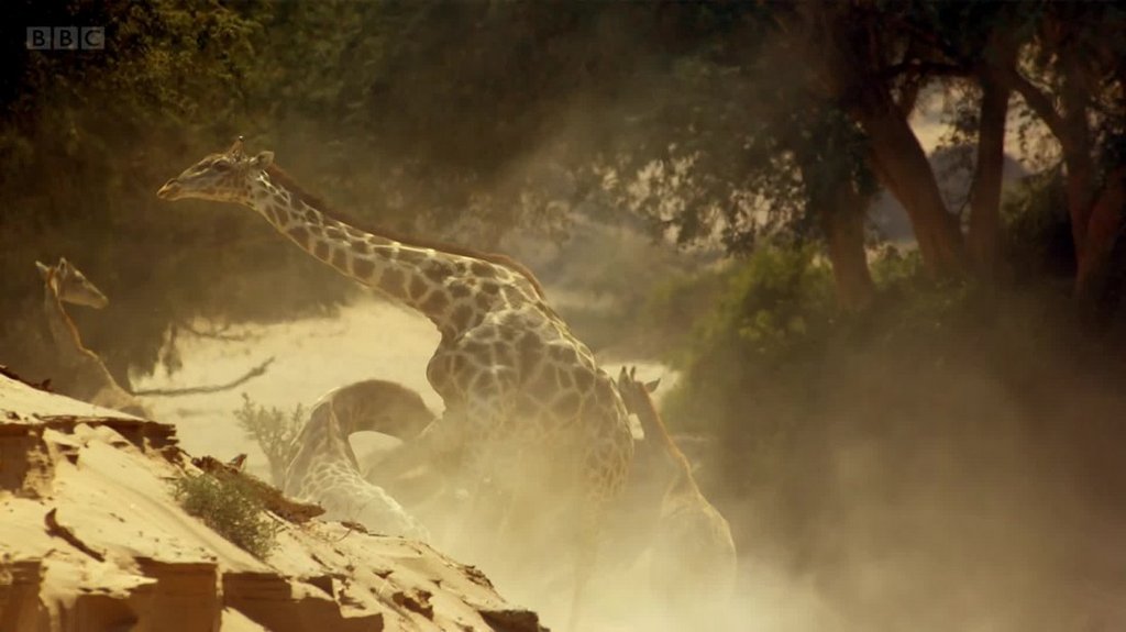 [Image: et1s98gy2rbq.jpg]