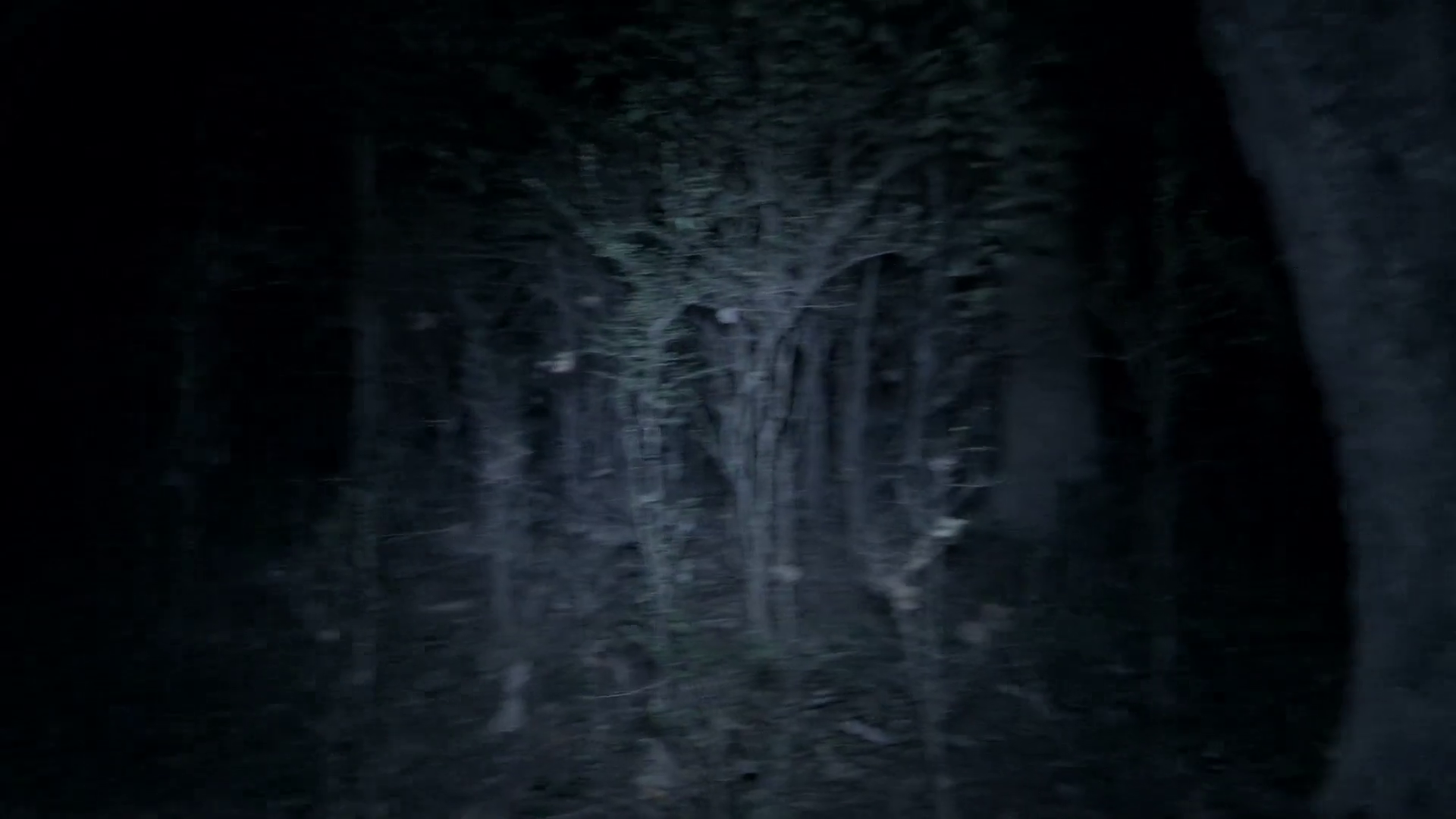 47ki3rk8tl.png