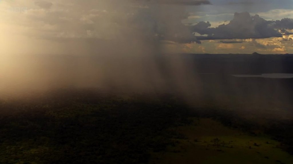 [Image: 8pwc7dn4co2h.jpg]