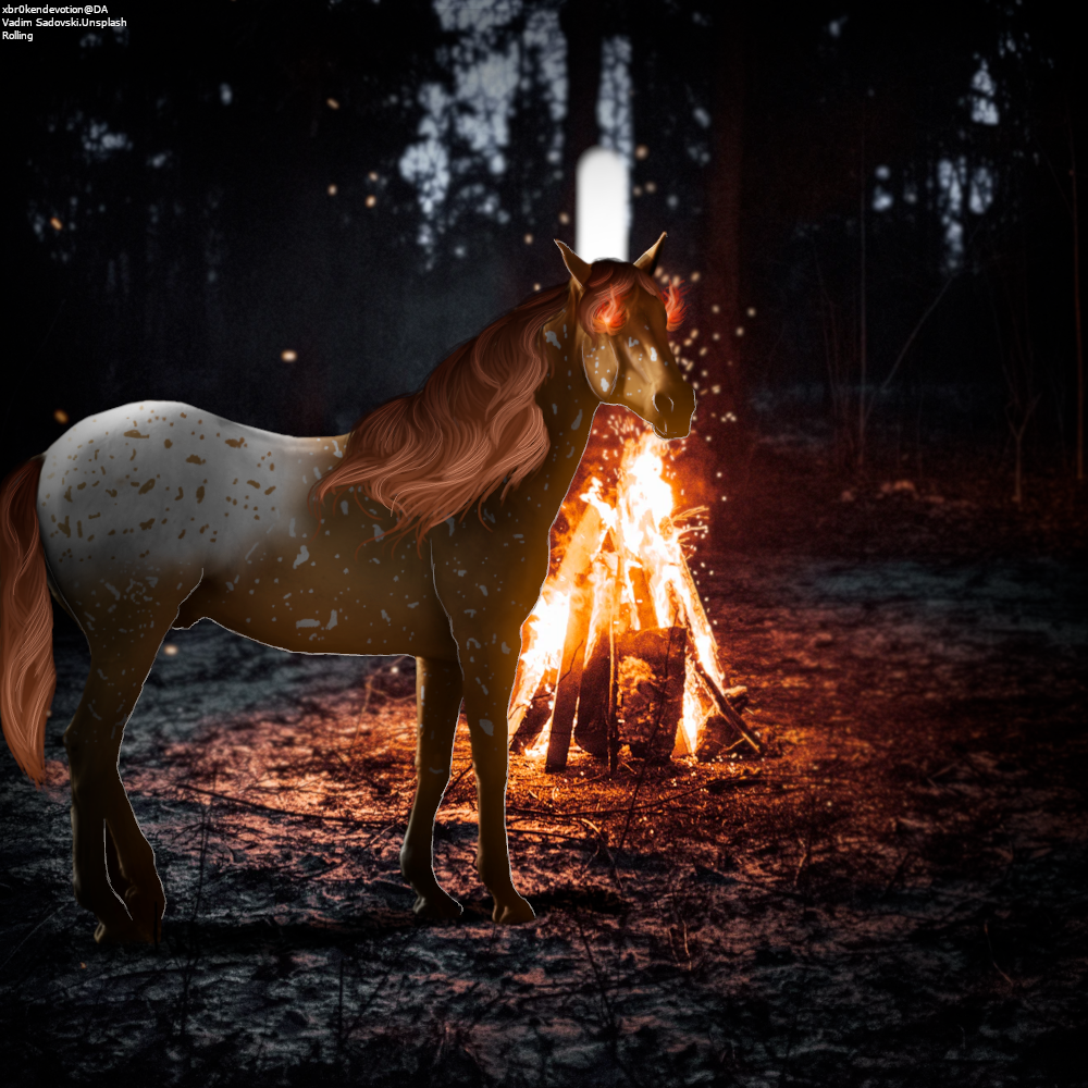 Heart-Fire-Pony.png
