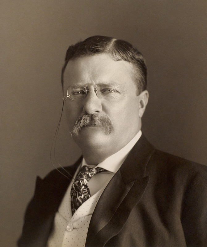 1200px-Theodore-Roosevelt-by-the-Pach-Bros.jpg