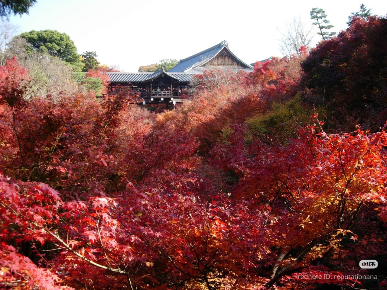 photo 1 2026 01 03 21 17 28