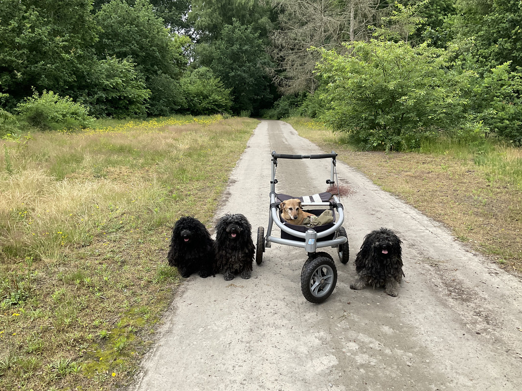 0959A4AE-2A29-4717-AF34-E954F81AFBBF