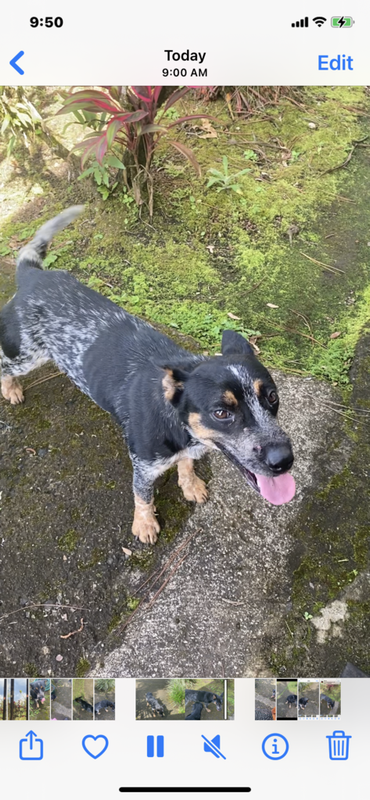 E3ABB55B-B922-4F4F-A878-1E0DD218EBE1