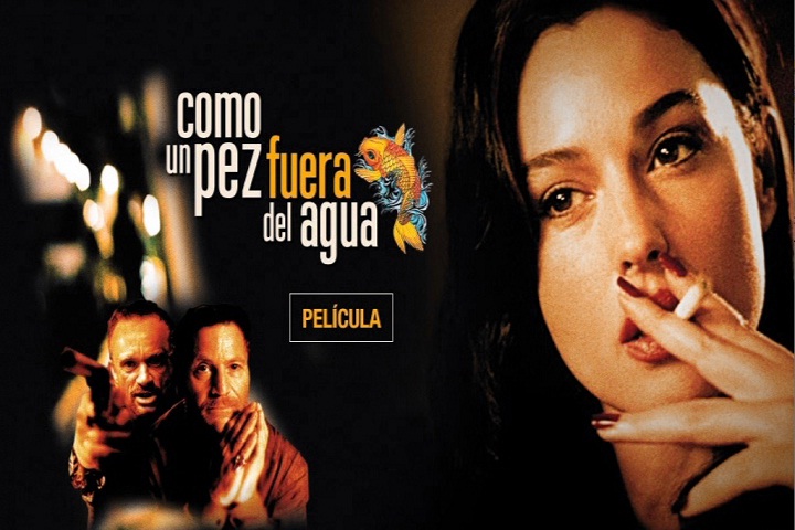 Comme Un Poisson Hors De L Eau Comme Un Poisson Hors De L’eau [1999][DVD R2][Spanish] « TodoDVDFull