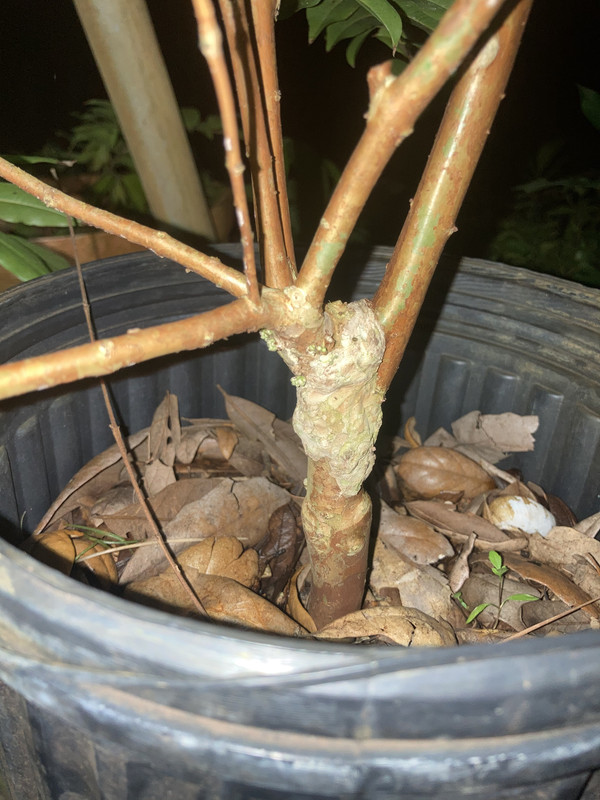 4FE3B698-C50F-4F84-9AF9-D4618B818063