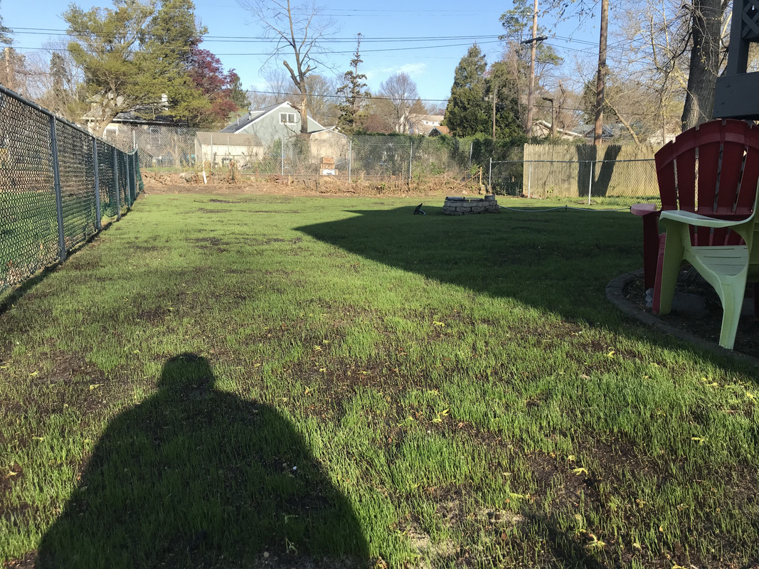 Walking on new grass Lawn Care Forum