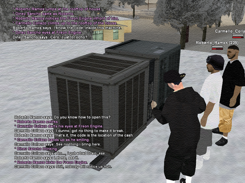 SSRoleplay246.png