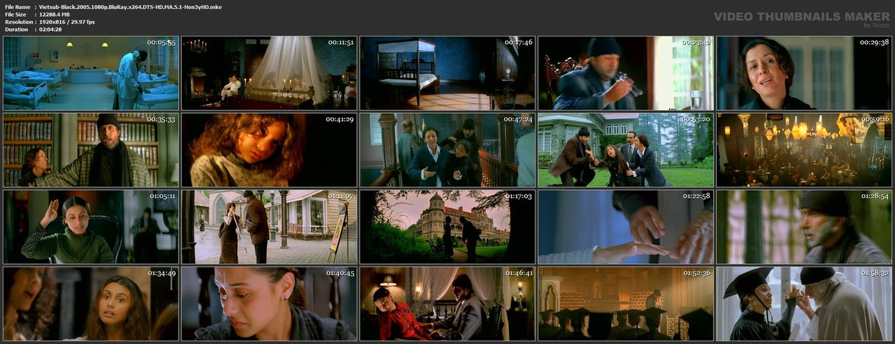 Vietsub-Black-2005-1080p-Blu-Ray-x264-DTS-HD-MA-5-1-Hon3y-HD-mkv.jpg