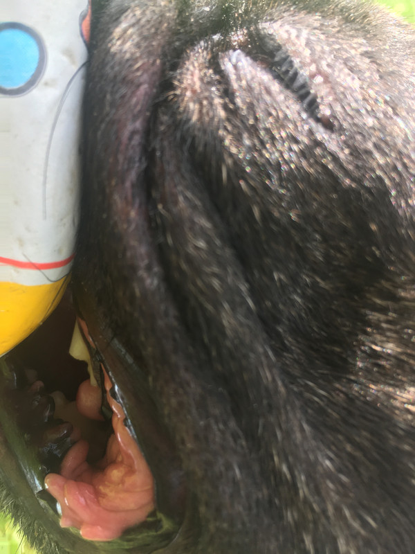 40D11E89-684A-440F-91FB-E568C8827F64