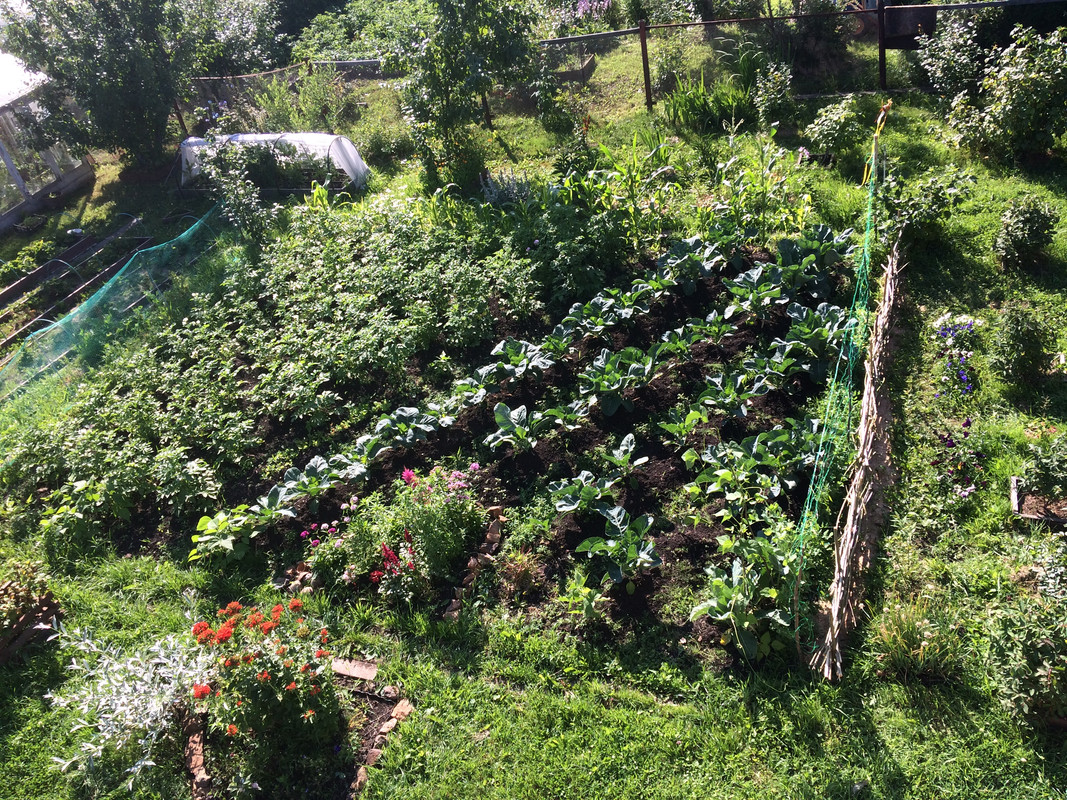 B8A53DF3-E1AD-4202-8DA2-E6C4D1619DD3