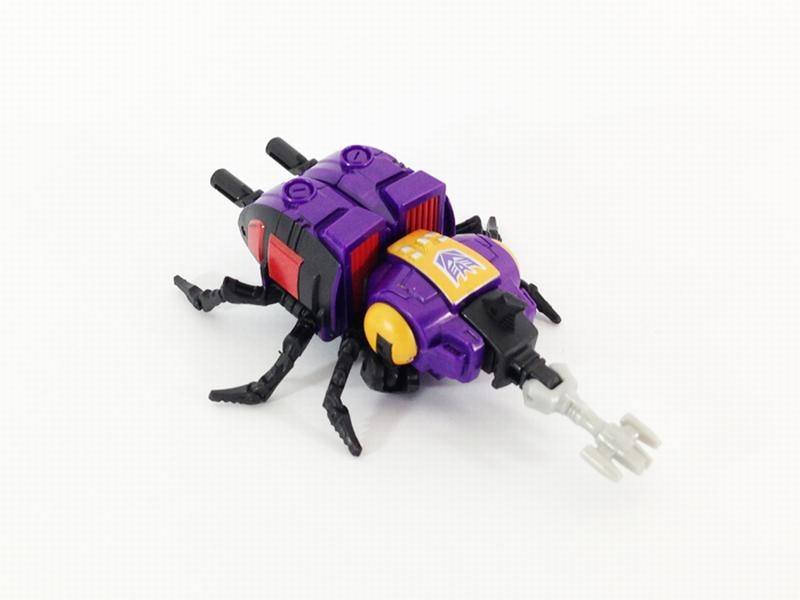 10523159_744970388922706_7332411873936353329_n