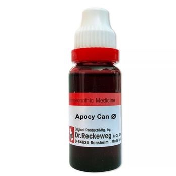 Dr. Reckeweg Angelica Archangelica 1X (Q) (20ml)