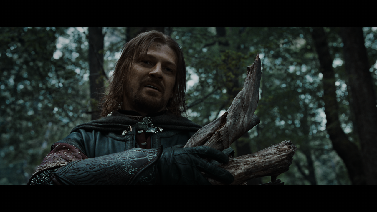 The Lord of the Rings- The Fellowship of the Ring (EXT.).mkv_snapshot_01.14.30_[2020.12.05_22.58.22]