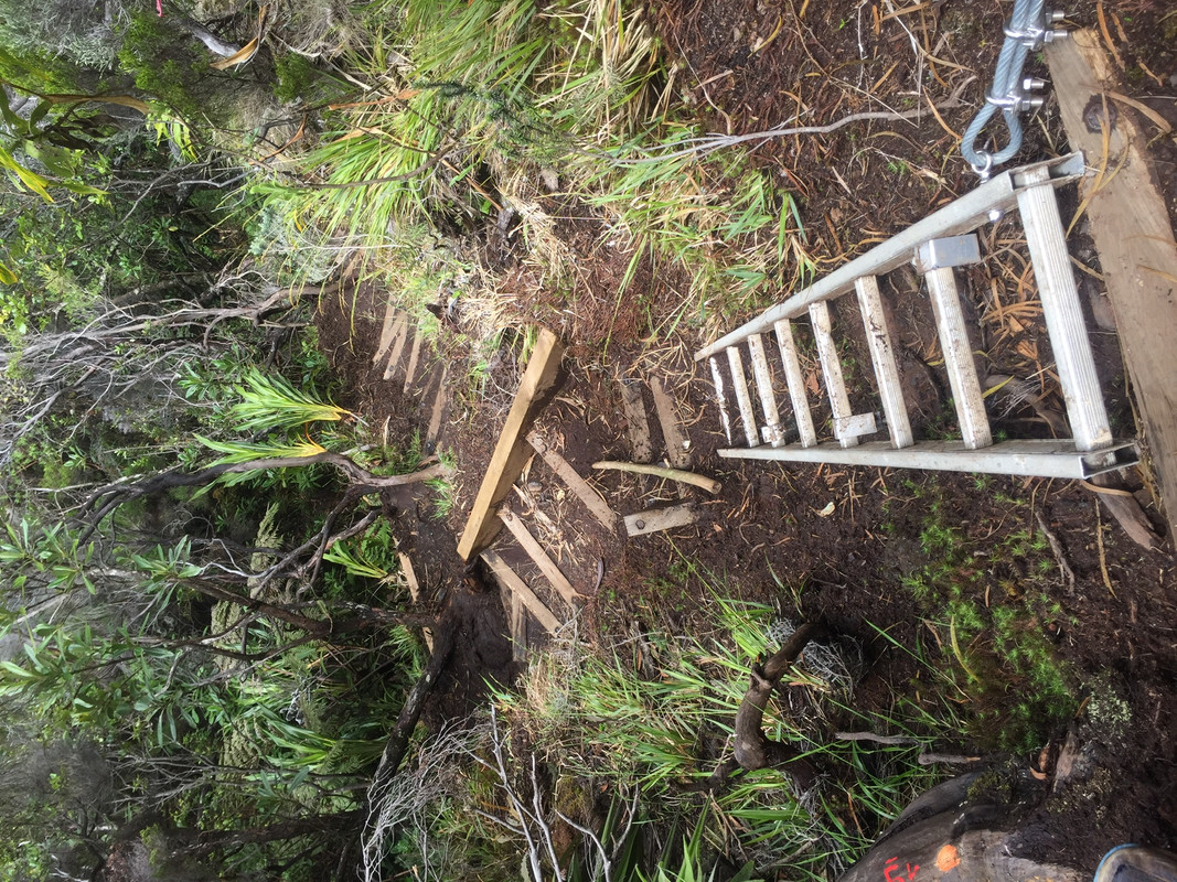 F54266F9-E830-4039-A944-6359F8FEF77A