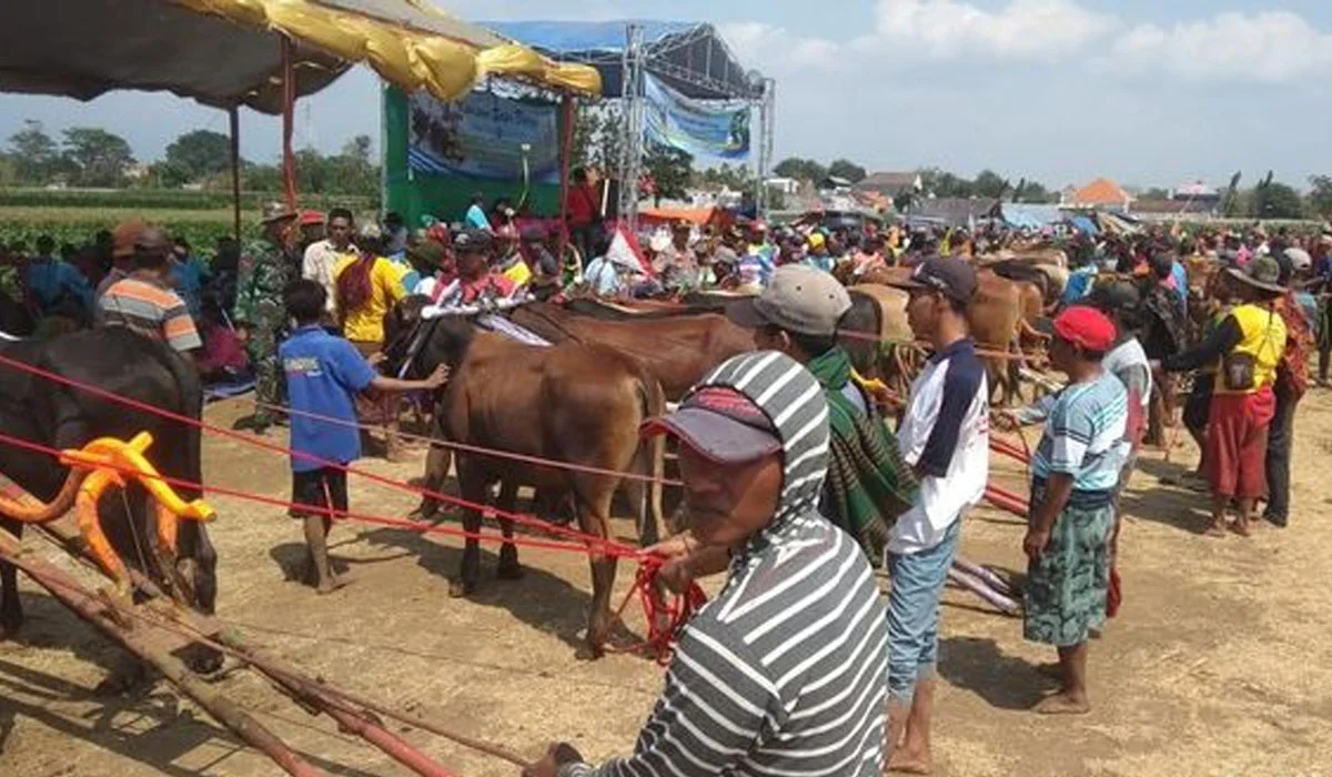 iapa Saja yang Terlibat?