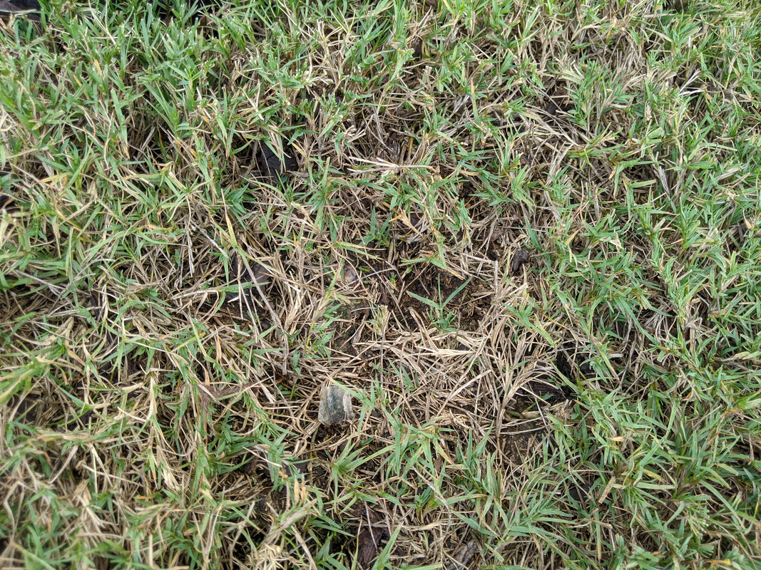 MVIMG_20200729_162311