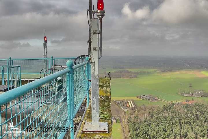 campics vanaf 6 december © VWGGemert en bonusjes van ter plekke - Pagina 28 M1