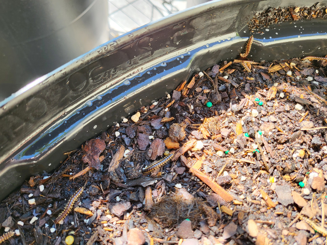 C2952333-0088-4400-A08E-0E7D3629512D