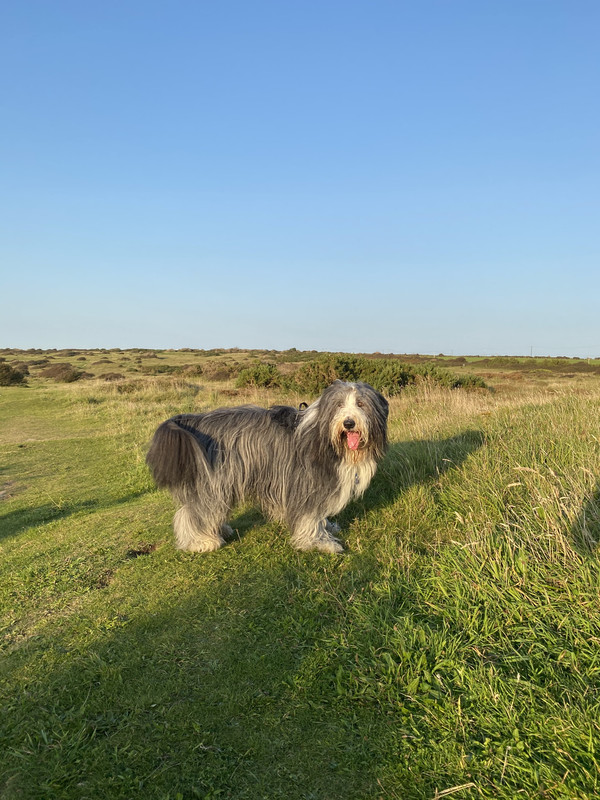 B7942F6D-8FAA-4384-A0EC-F17AEFD8E44D