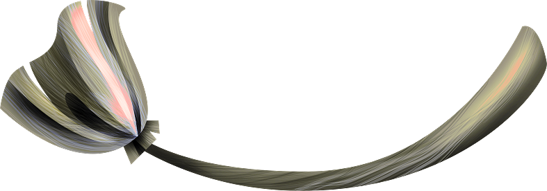 Pumpkinfairykitpudnbroom