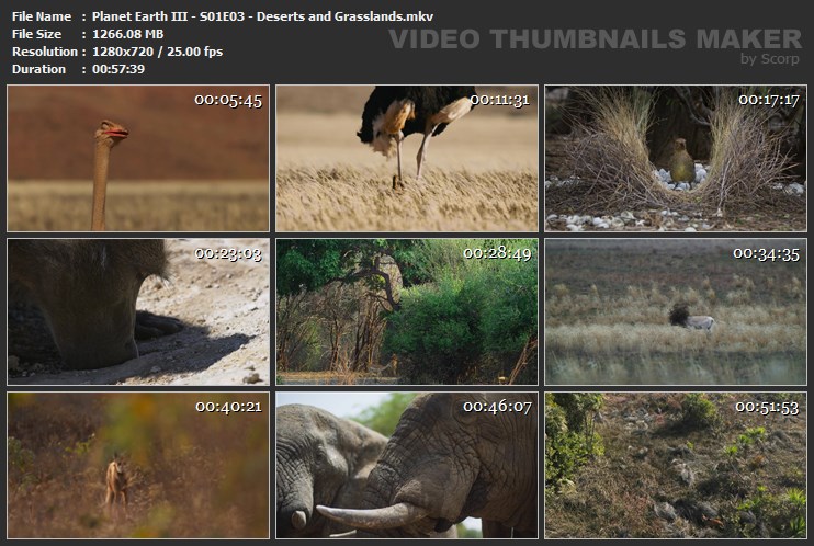 Planet Earth III - S01E03 - Deserts and Grasslands.mkv