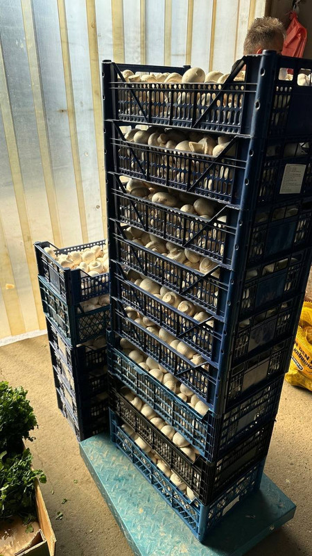 photo_2024-03-16_19-26-16