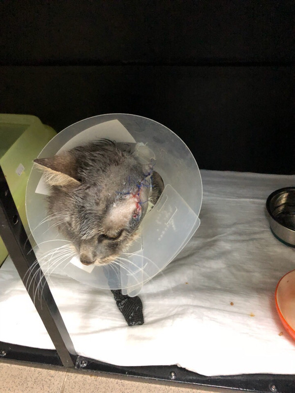 5517EE39-28A9-4B5D-9478-5CCF2B2D4235