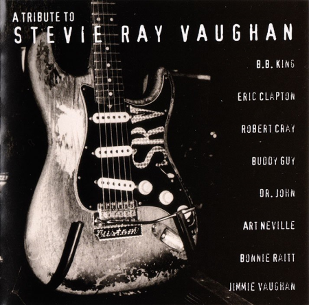 VA - A Tribute To Stevie Ray Vaughan (1996)