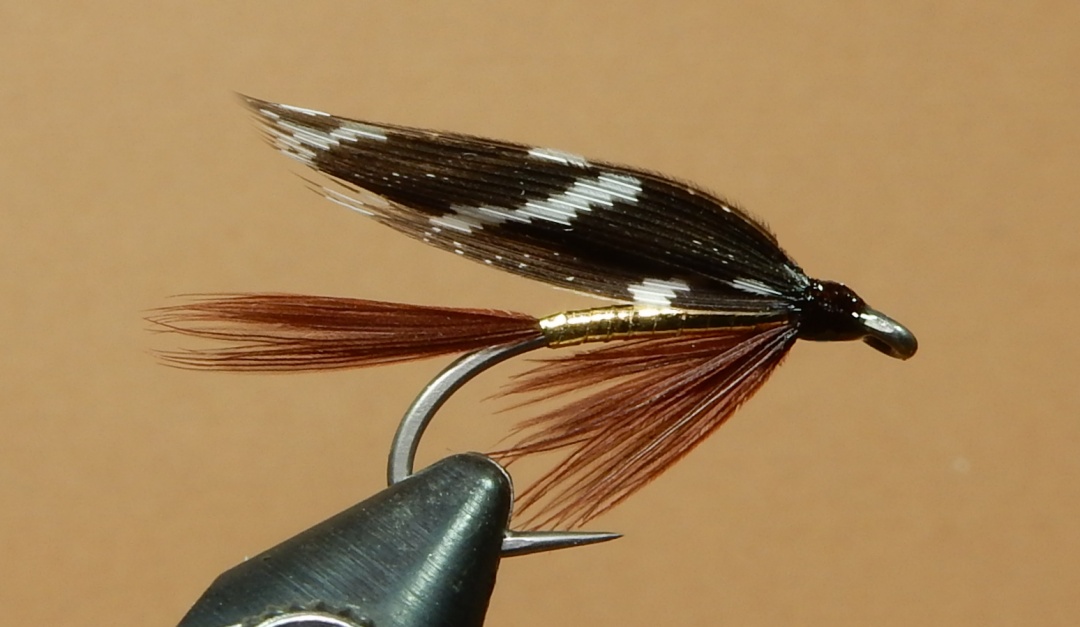 Preaton-s-Fancy-1080.jpg
