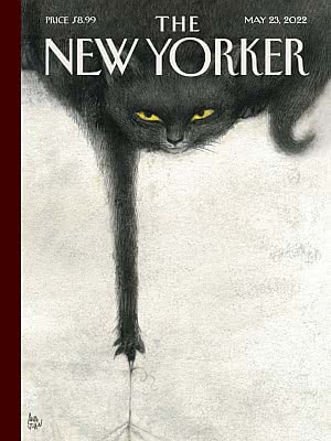 The New Yorker - 23 May 2022