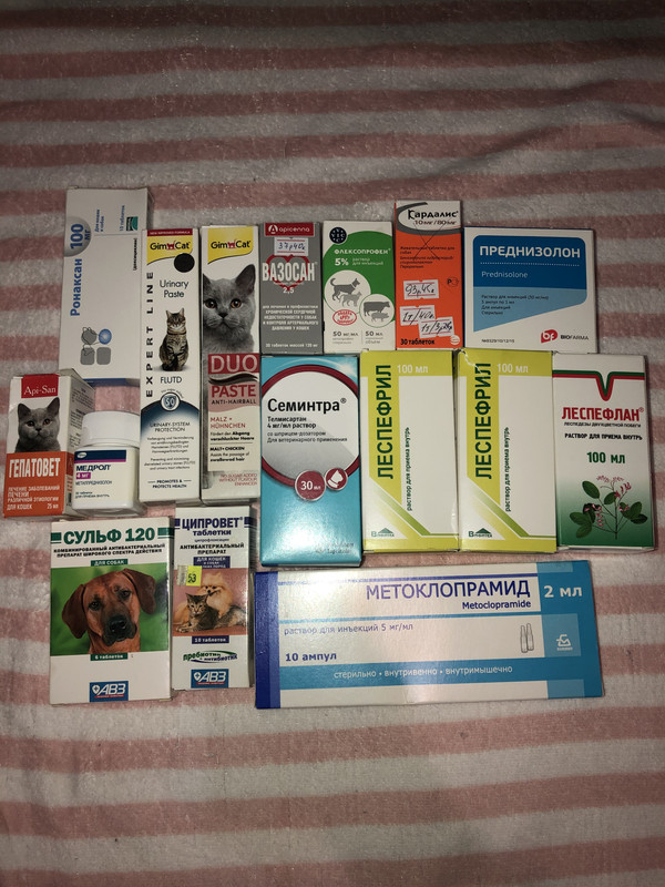 60A502E3-3633-405B-A1A4-8CD00565F38D