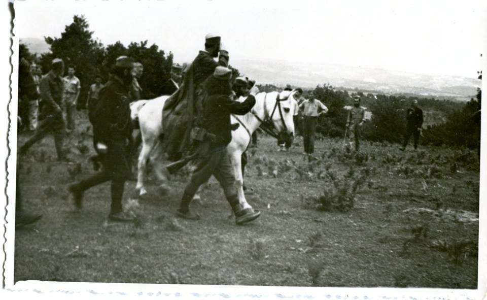 [Слика: 47683190-1176800679144185-5517230781312794624-n.jpg]