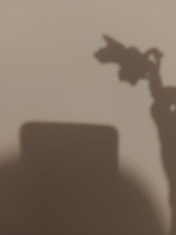 https://i.postimg.cc/pX4Lbzh1/20221203-160337.jpg