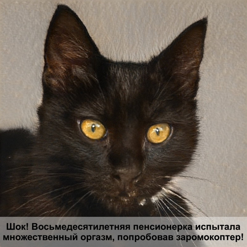 самая мелкая кошка