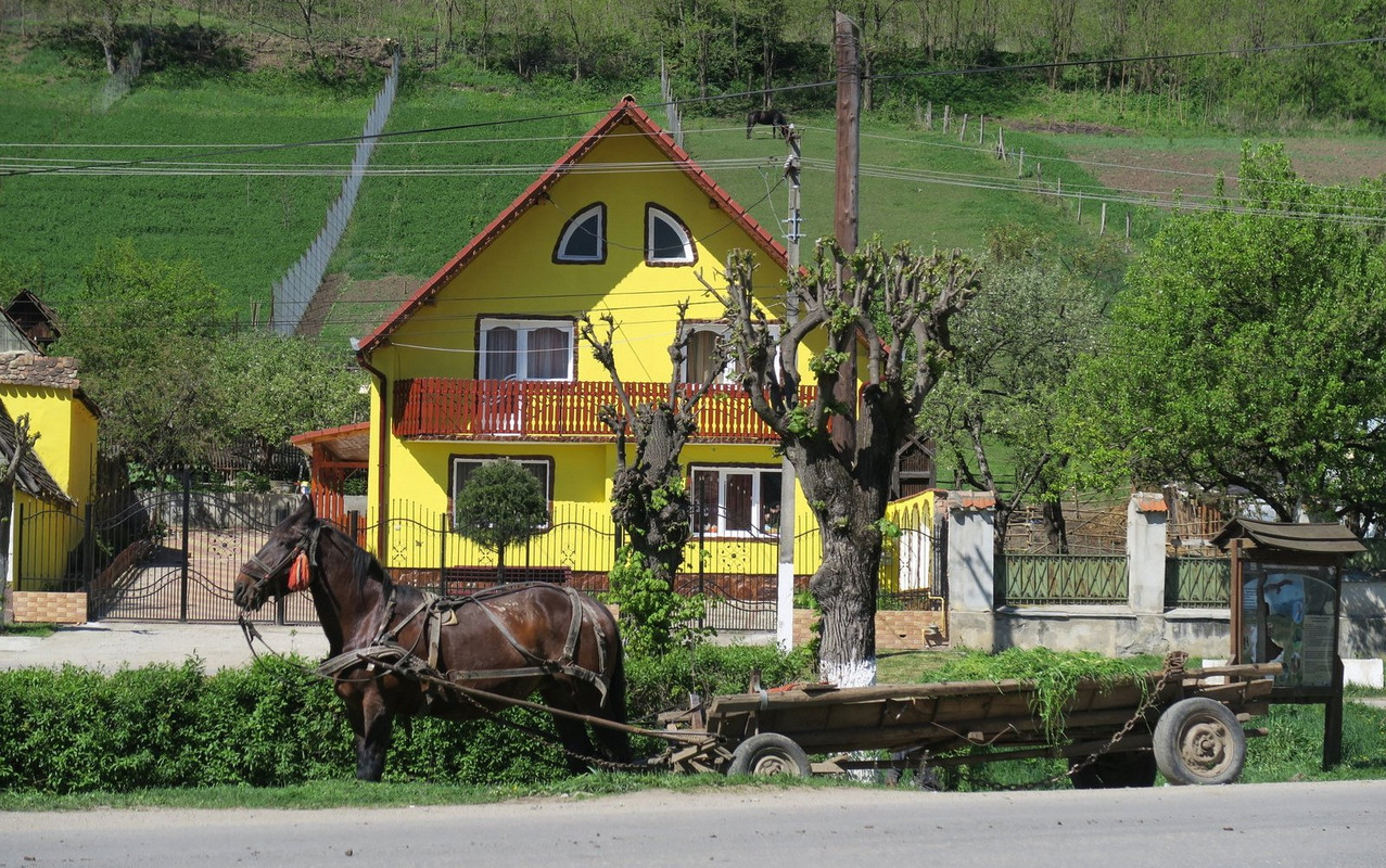 yellow-house-horse-cart.jpg