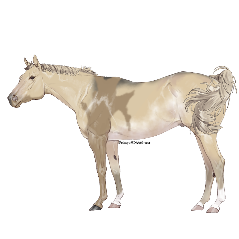 Untitled88-20250331151637.png