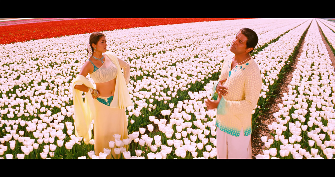 VideoCapture_20241122-195638