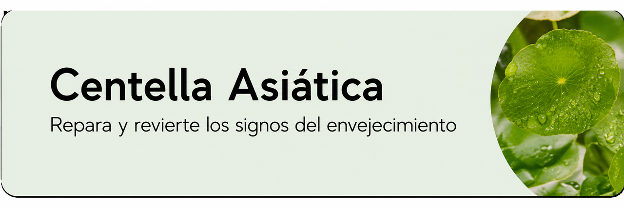 Ingrediente 2