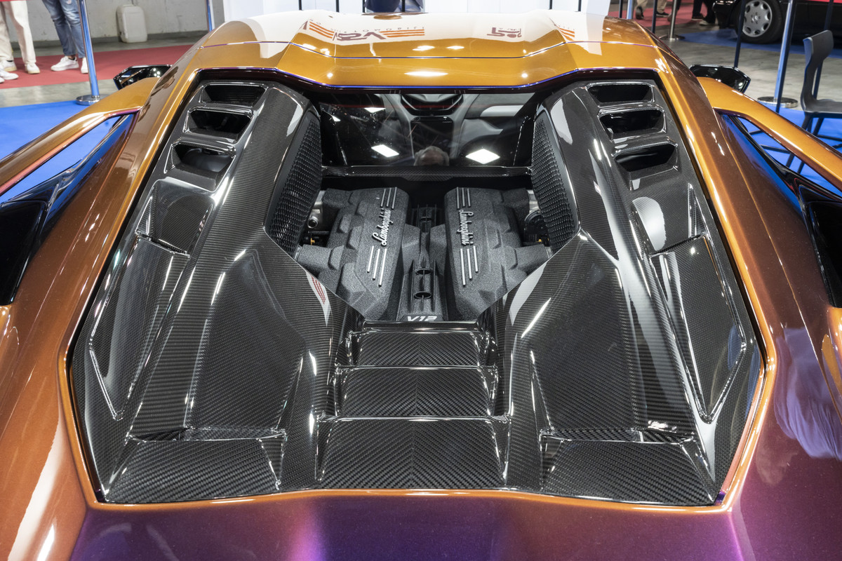 DSC04949 (CR - Luci -20 - Chiar  35 - RR 30-50) Crop