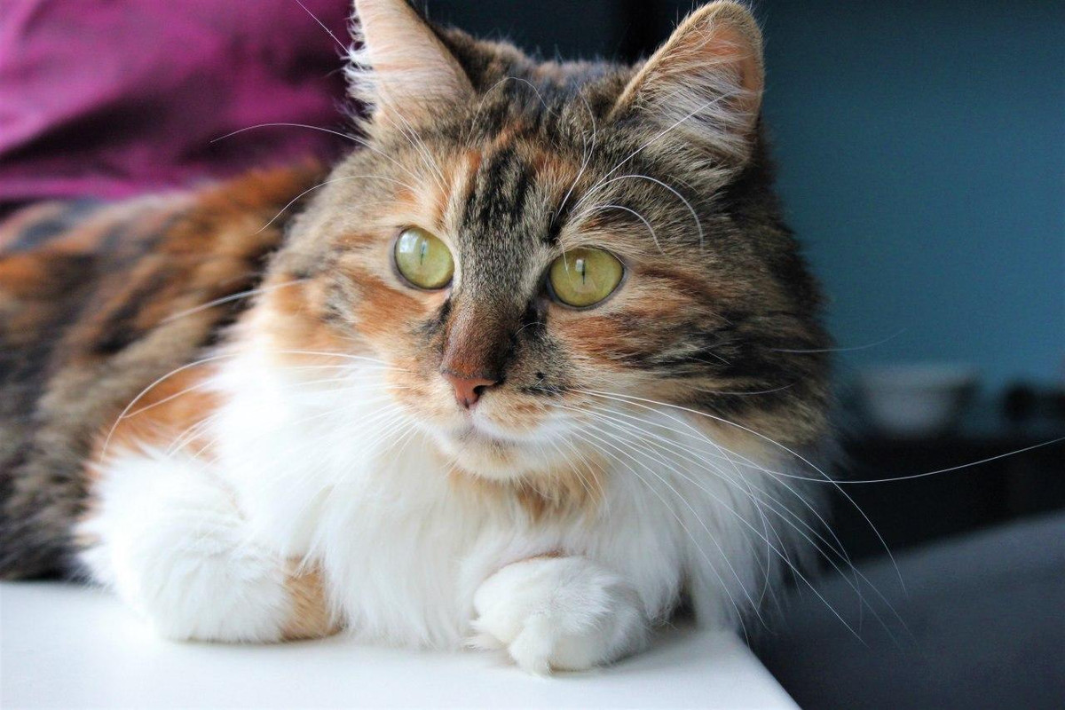 photo_2020-03-13_14-14-24 (2)