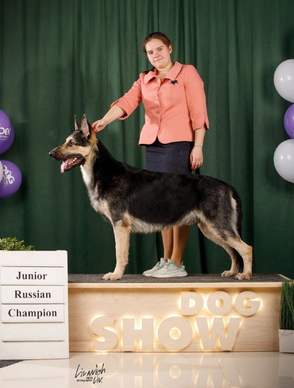 Ry84xCd010FbiO67GmtpqXKe6Udt-F0zeeNoouEmaB9Ky6bU6ncKPEAaqaRyT3eOnzKgAHQvwc9DiG8Cxpz4XLfg