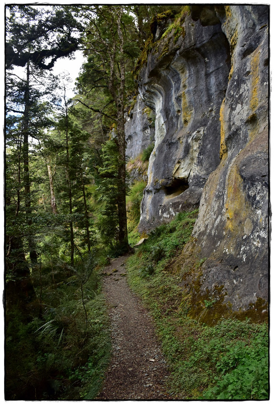 Fiordland NP: Kepler Track (febrero 2022) - Escapadas y rutas por la Nueva Zelanda menos conocida (7)