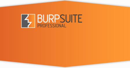 Burp Suite Professional 2020.9.1 Build 3995