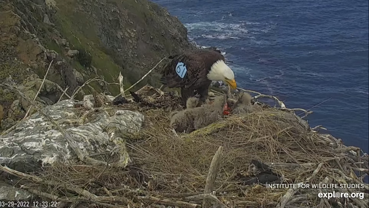 80D02065-E0A2-429B-BD9F-F07E9987ADB3