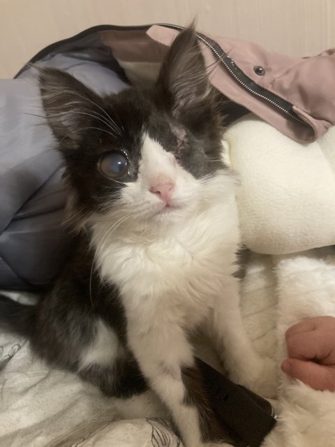 8C2EA974-C885-4BF4-9B2F-35866BC78A71