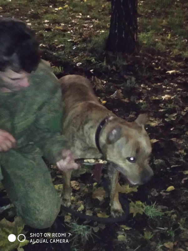 C3C29F2A-4788-4DF2-9588-AAA27AD5C3A5