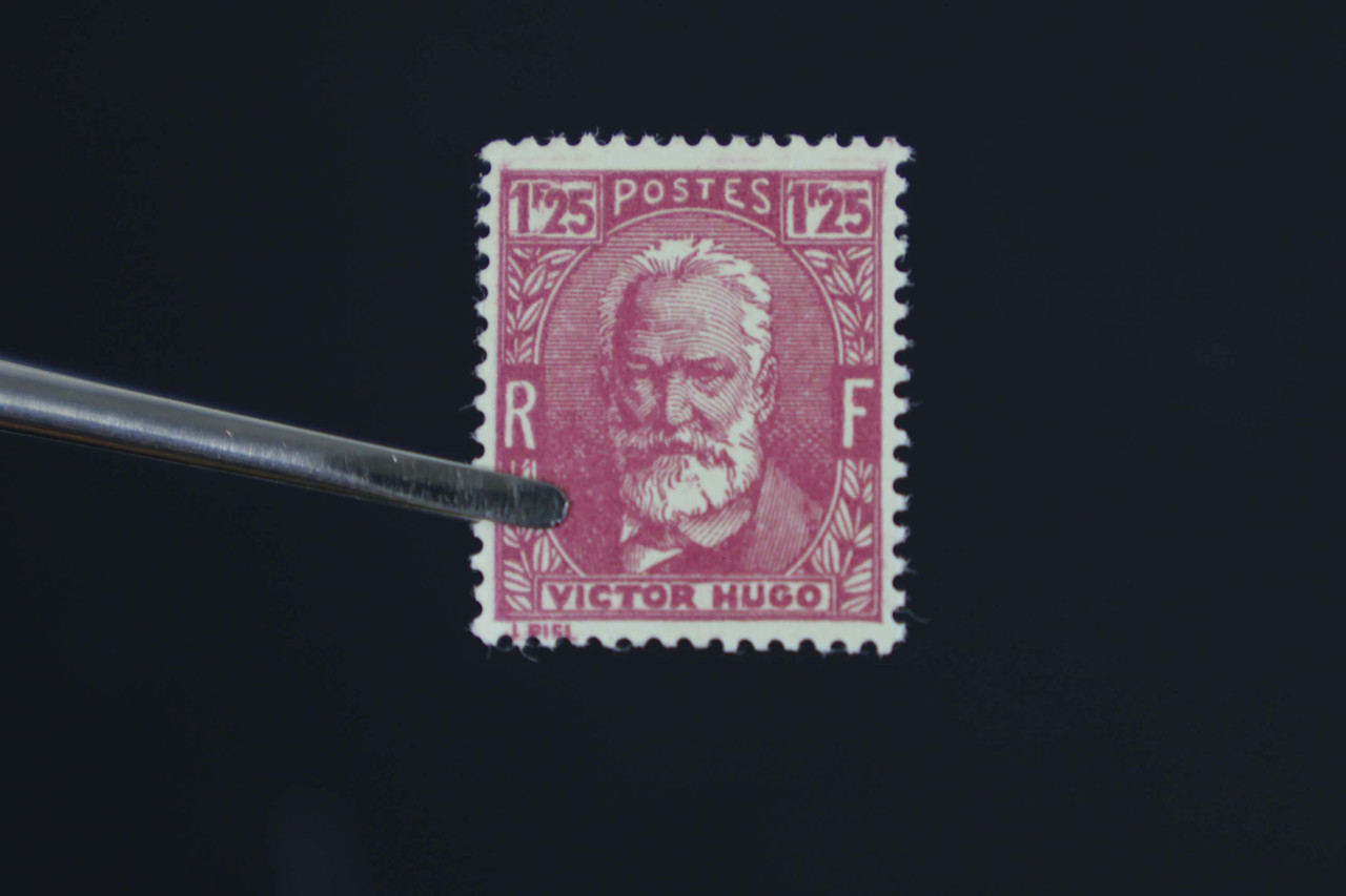 IMG 7052