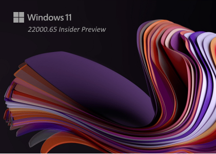 Windows 11 Pro Insider Preview 10.0.22000.65